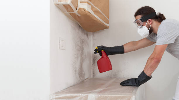 Professional Basement Mold Remediation technician working in Medinah, IL